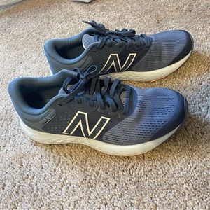 Women’s New Balance 520 Blue 9 Wide